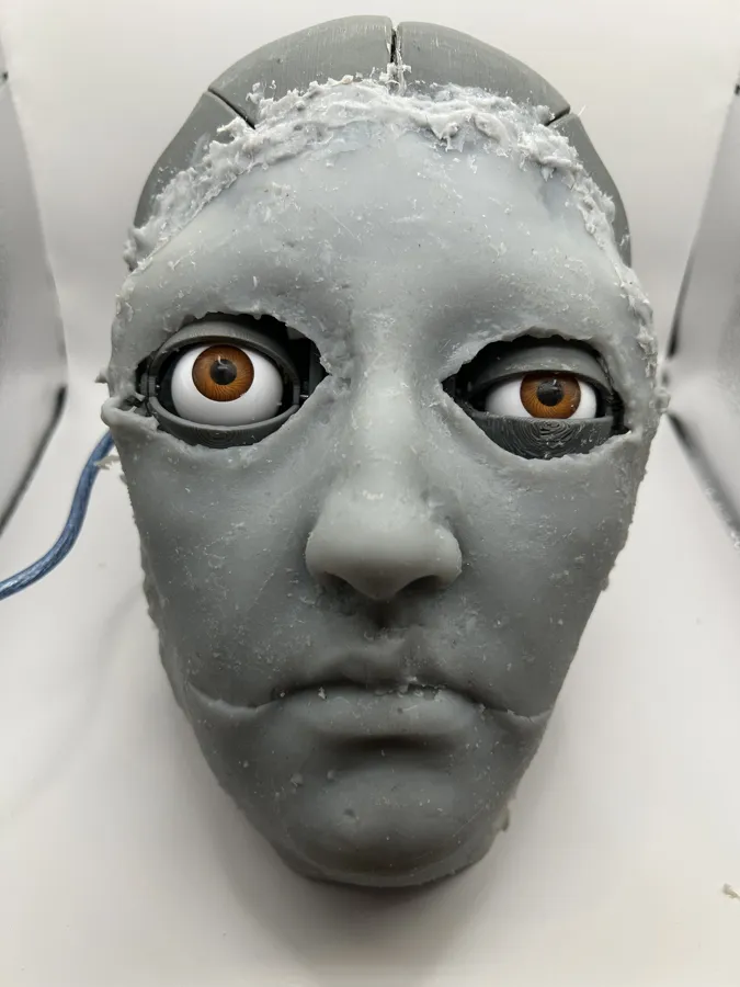 Am.I. face showing curiosity