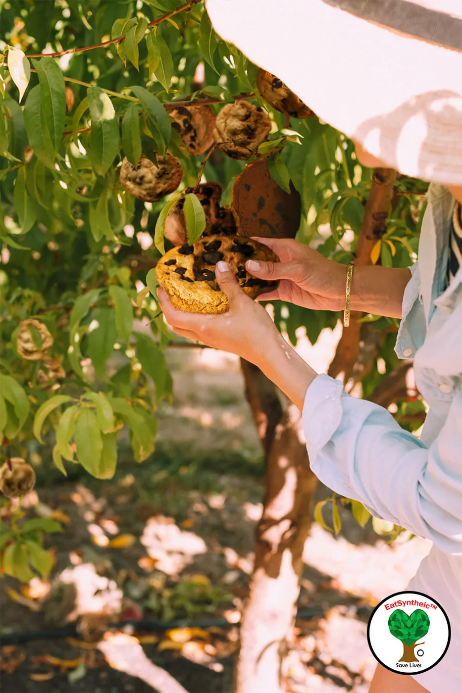 Photoshop composite imagining a future food system
