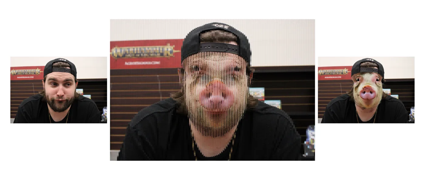 Three-panel layout showing the human photo, the line-merged face, and the pig face version side by side