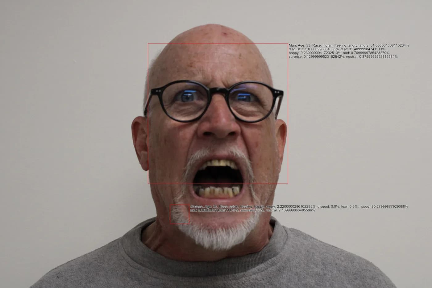 Mike analyzed by the computer vision system