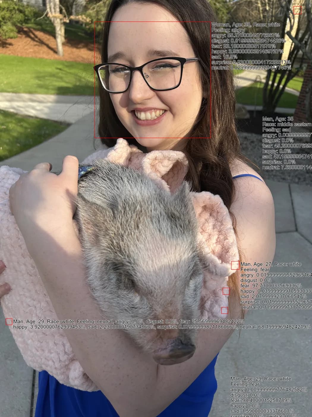 A piglet the AI read as four human men