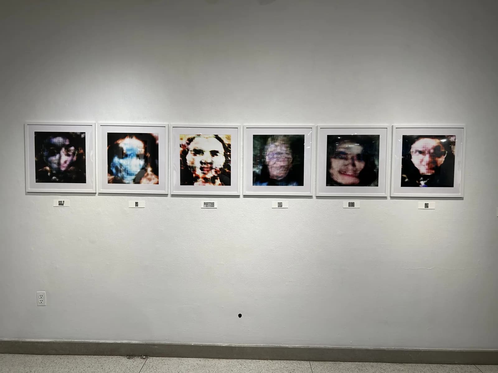 All six Digitized Family prints installed on the gallery wall